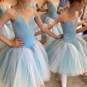 Romantic Ballet costume Flowers Waltz Sleeping Beauty Nutcracker F 0485 - image 5