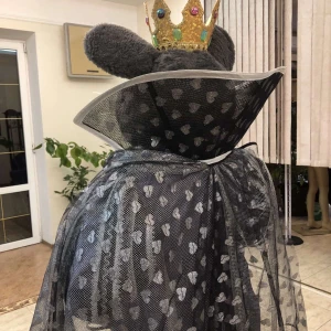 Ballet costume Rat King Queen Mice Nutcracker P 0223 - image 31