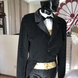 Stage costume F 0391A - image 10