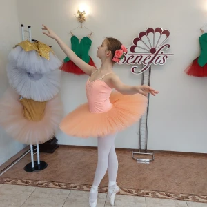Professional basic tutu with a simple decor T 0014 - image 44