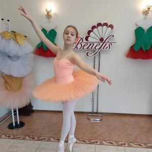 Professional basic tutu with a simple decor T 0014 - image 43