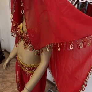 Oriental costume F 0039(5045) - image 7