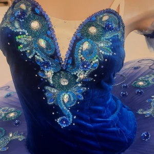 Синяя птица P 0481 - image 7