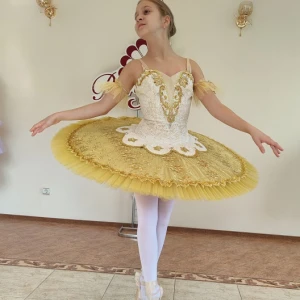 Costum pentru scena F 0102 - image 30