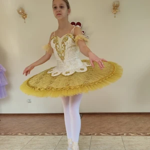 Costum pentru scena F 0102 - image 31