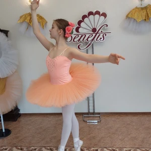 Professional basic tutu with a simple decor T 0014 - image 48