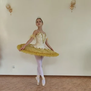 Costum pentru scena F 0102 - image 32