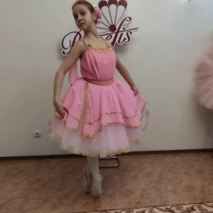 Aurora P 2501 - image 10