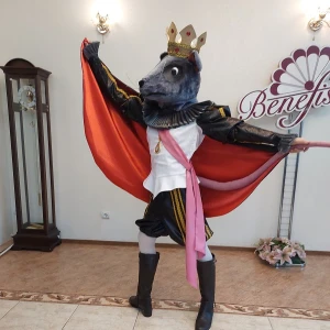 Ballet costume Rat King Mouse  Fight Nutcracker P 0220A - image 15