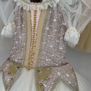 Stage ballet costume P 0126 - image 21