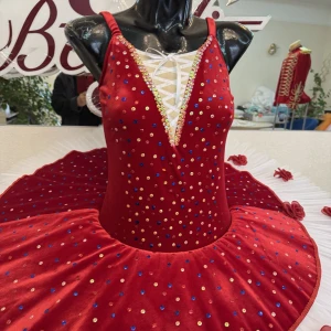 Stage costume F0531 - image 5