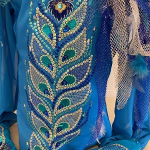 Голубая птица P 0410(2354) - image 5