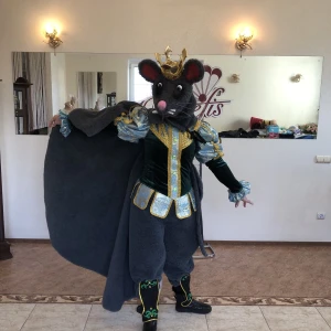 Costum de balet Regele Sobolanului Lupta sobolanilor Spargatorul de nuci P 0286 - image 10