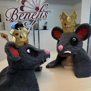 Frizură Regele Șobolan Cap Masca Mouse-Ul Spărgătorul De Nuci Șobolan Lupta S 0093A - image 7