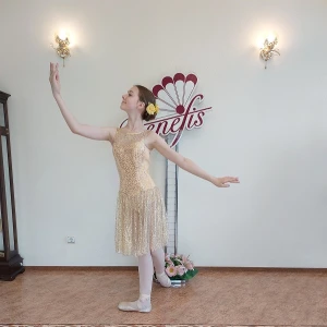 Сценический костюм F 0488 - image 9