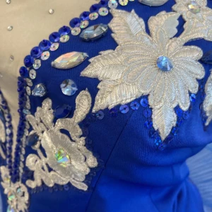 Blue Bird(Princess Florine) F 0001A - image 30