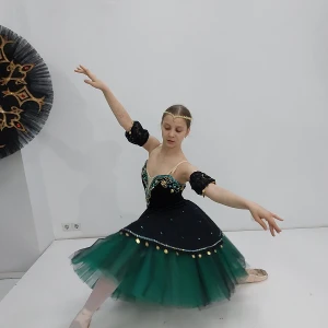 Esmeralda P 1104 - image 22