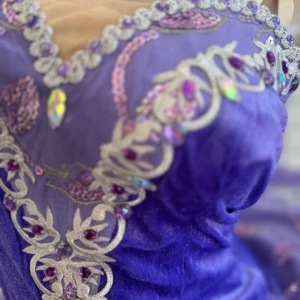 Stage costume F 0528 - image 9