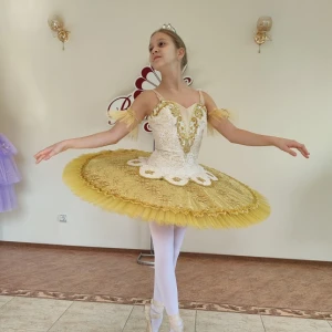 Costum pentru scena F 0102 - image 27