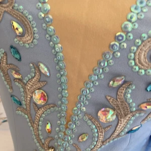 Blue Bird(Princess Florine) F 0001A - image 49