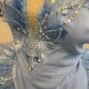 Pasarea albastra P 0416 - image 22