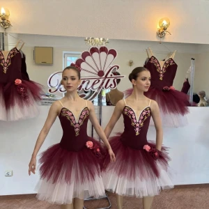 Ballet costume P 2010 - image 2