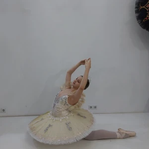 Stage ballet costume Fairy Dragee Sugar Plum Fairy and for various roles The Nutcracker F 0456 - image 25
