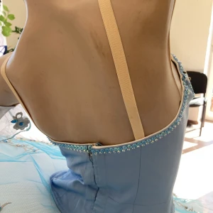 Blue Bird(Princess Florine) F 0001A - image 19