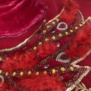 Pasare Paun F 0060 - image 11