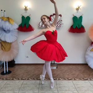 Costum pentru scena P 3105 - image 10