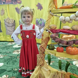 украинский сарафан H 0019(4212) - image 21