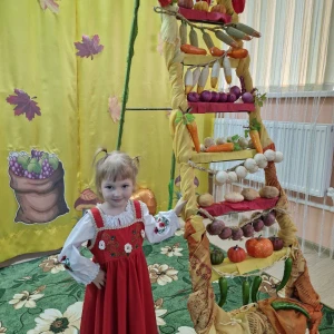 украинский сарафан H 0019(4212) - image 22