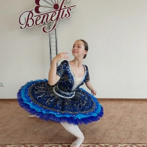 Stage costume F 0081B - image 27