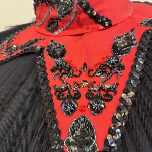 Costum pentru concert F 0064 - image 12