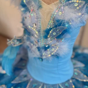 Pasarea albastra P 0416 - image 43