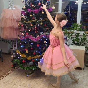 Aurora P 2501 - image 16