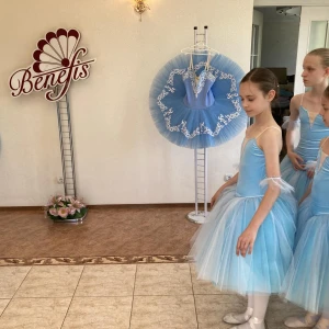 Romantic Ballet costume Flowers Waltz Sleeping Beauty Nutcracker F 0485 - image 9