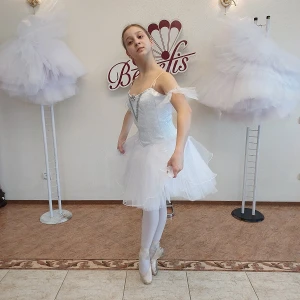 Сценический костюм T 0054 - image 6