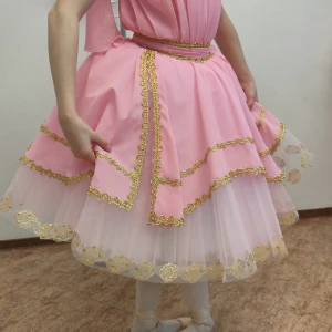 Aurora P 2501 - image 15