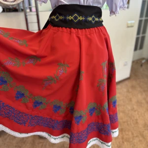 Moldavian national Skirt J 0126 - image 10