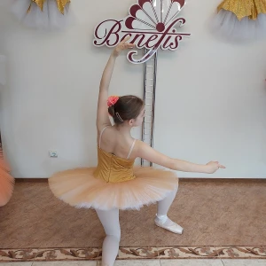 Professional basic tutu with a simple decor T 0014 - image 54