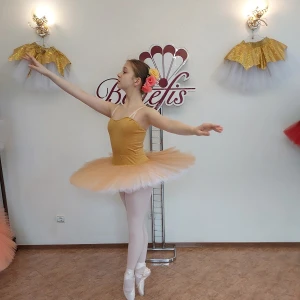 Professional basic tutu with a simple decor T 0014 - image 53