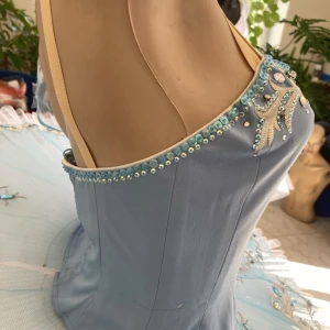 Blue Bird(Princess Florine) F 0001A - image 18