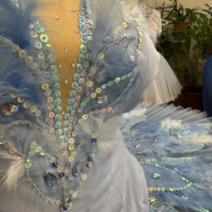 Pasarea albastra P 0416 - image 24